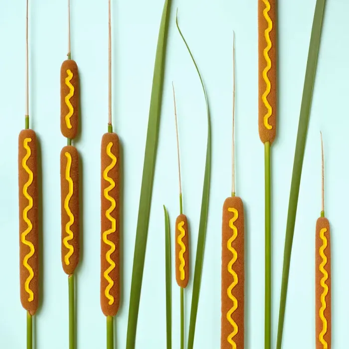 Framed Print : Cattails decorated with mustard to look like corn dogs Framed Print : Cattails decorated with mustard to look like corn dogs