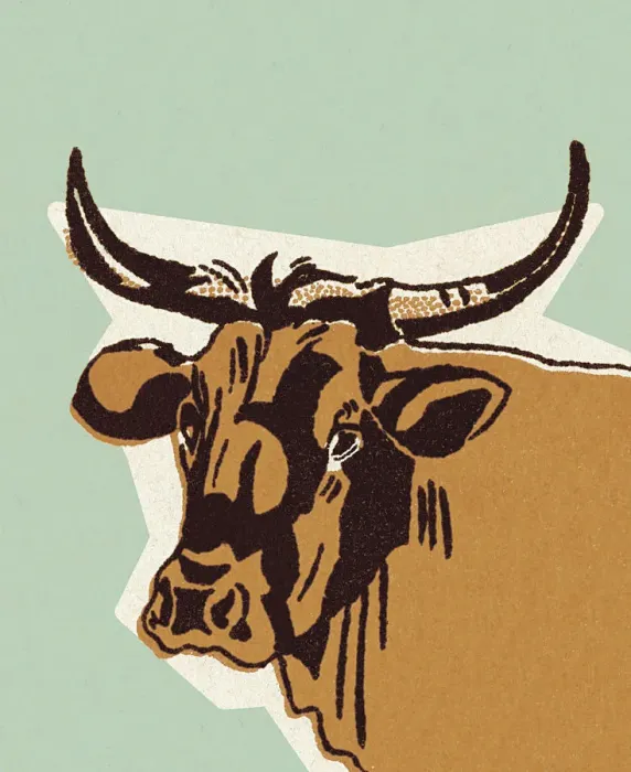 Framed Print : Cattle. http: / / csaimages.com / images / istockprofile / csa_vector_dsp.jpg Framed Print : Cattle. http: / / csaimages.com / images / istockprofile / csa_vector_dsp.jpg