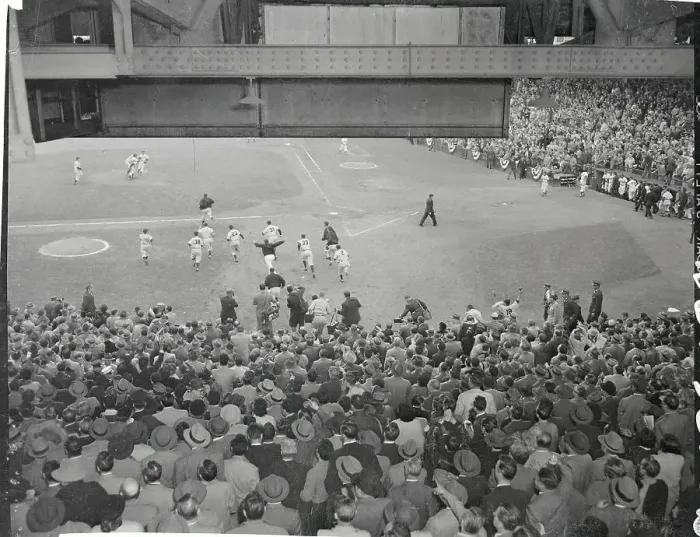 Framed Print : Celebration After Yankees Win