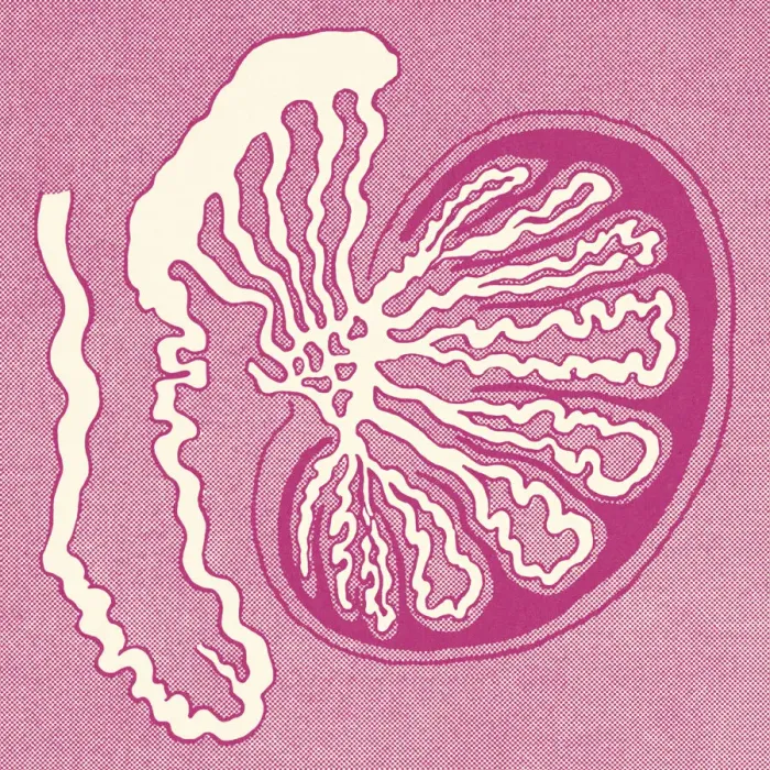 Framed Print : Cell Biology Framed Print : Cell Biology