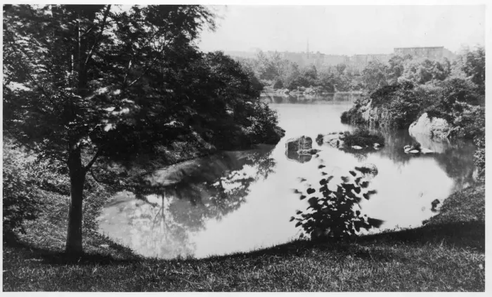 Framed Print : Central Park Framed Print : Central Park