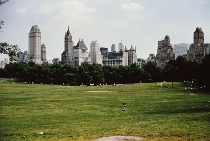 Framed Print : Central Park Framed Print : Central Park