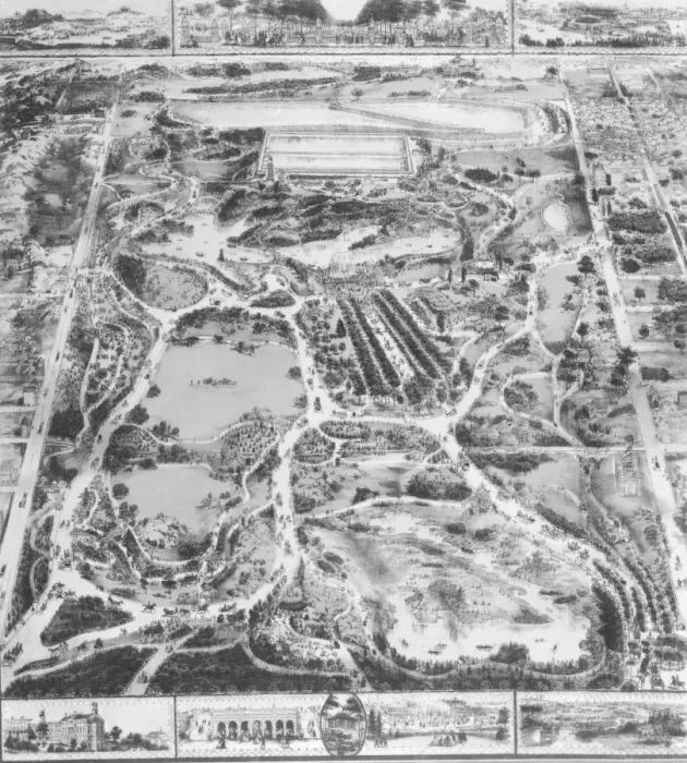 Framed Print : Central Park Framed Print : Central Park