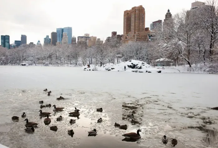 Framed Print : Central Park lake in winter, Manhattan, New York City, USA Framed Print : Central Park lake in winter, Manhattan, New York City, USA