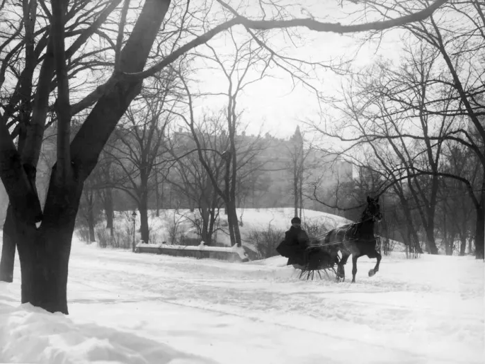 Framed Print : Central Park Sleigh Framed Print : Central Park Sleigh