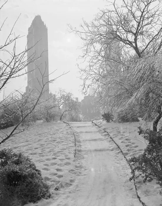 Framed Print : Central Park Views