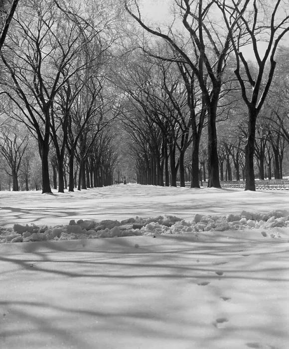 Framed Print : Central Park in Winter Framed Print : Central Park in Winter