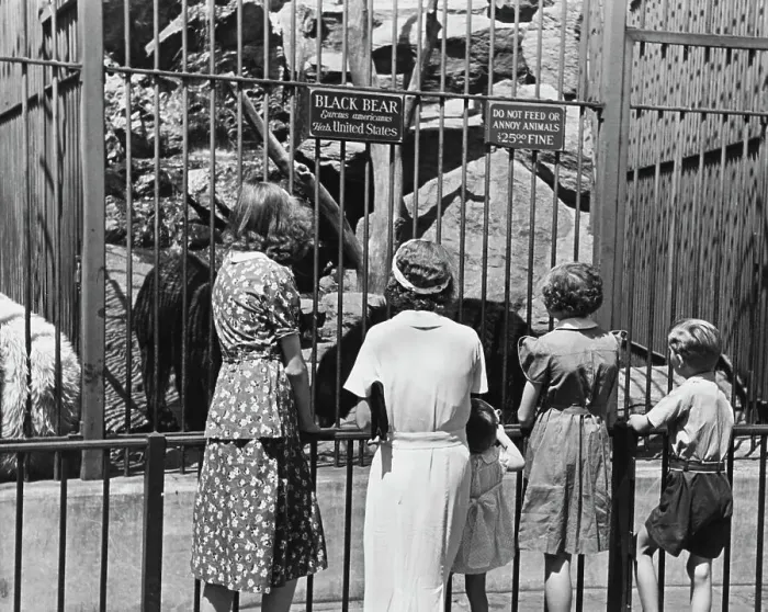 Framed Print : Central Park Zoo, 1935 Framed Print : Central Park Zoo, 1935