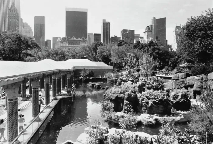 Framed Print : Central Park Zoo, 1988