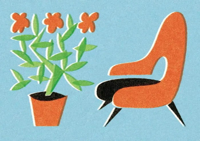 Framed Print : Chair and plant Framed Print : Chair and plant