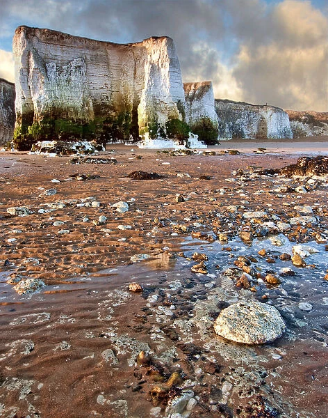 Chalk Cliffs at Botany Bay, Broadstairs, Kent