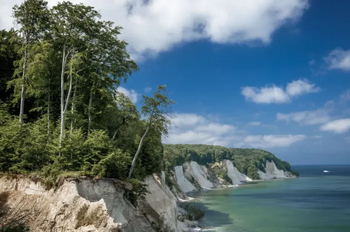 Framed Print : Chalk cliffs on the coast, Jasmund National Park, Rugen island, Rugen, Mecklenburg-Western Pomerania, Germany Framed Print : Chalk cliffs on the coast, Jasmund National Park, Rugen island, Rugen, Mecklenburg-Western Pomerania, Germany