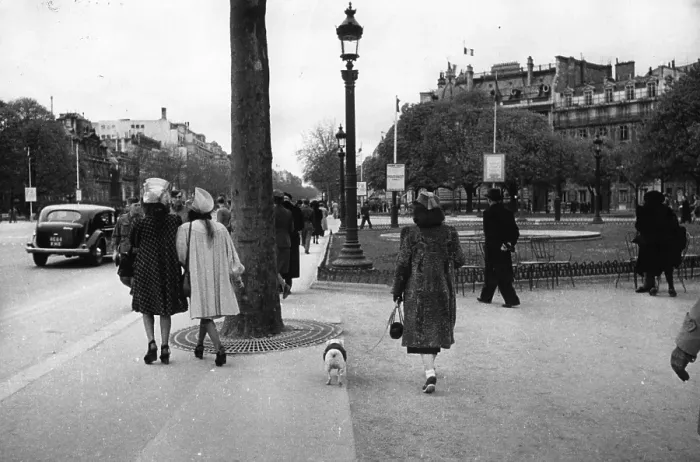 Framed Print : Champs Elysees Framed Print : Champs Elysees