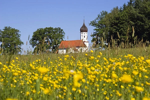 Chapel with blossoming meadow, Hubkapelle Chapel, Penzberg, Bavaria, Germany, Europe