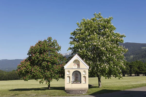 Chapel and flowering chestnut trees, horse chestnut -Aesculus hippocastanum-, Prankh, community of St. Marein near Knittelfeld, Upper Styria, Styria, Austria, Europe, PublicGround