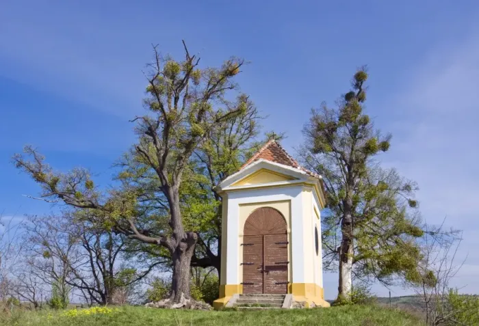 Framed Print : Chapel of St. Florian, cultural heritage, and Limes, Littleleaf Linden (Tilia cordata), memorial trees on FloriAzAanek, Koryčany, KroměřAzAiaAY district, ZlAzAin region, Moravia, Czech Republic, Europe Framed Print : Chapel of St. Florian, cultural heritage, and Limes, Littleleaf Linden (Tilia cordata), memorial trees on FloriAzAanek, Koryčany, KroměřAzAiaAY district, ZlAzAin region, Moravia, Czech Republic, Europe