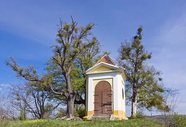 Chapel of St. Florian, cultural heritage, and Limes, Littleleaf Linden (Tilia cordata), memorial trees on FloriAzAanek, Koryčany, KroměřAzAiaAY district, ZlAzAin region, Moravia, Czech Republic, Europe