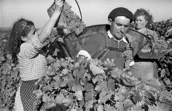 Framed Print : Charente Harvest Framed Print : Charente Harvest