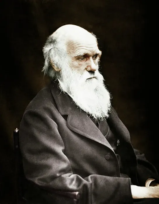 Framed Print : Charles Darwin Framed Print : Charles Darwin
