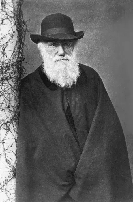 Framed Print : Charles Darwin Framed Print : Charles Darwin