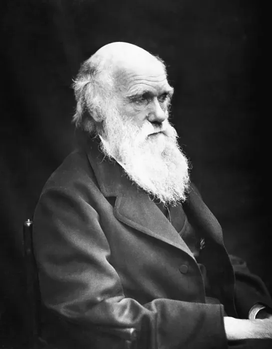 Framed Print : Charles Darwin Framed Print : Charles Darwin