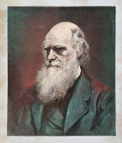 Charles Darwin naturalist portrait 1882