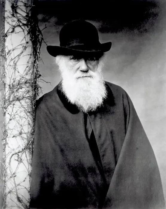 Framed Print : Charles Darwin Portrait Framed Print : Charles Darwin Portrait