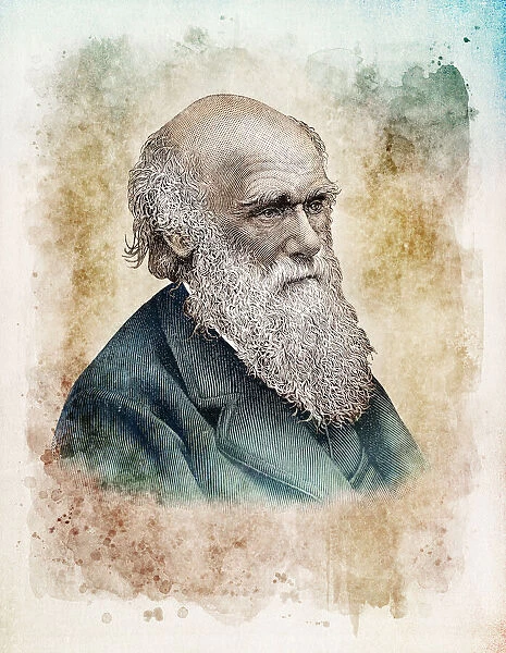 Charles Darwin scientist naturalist portrait