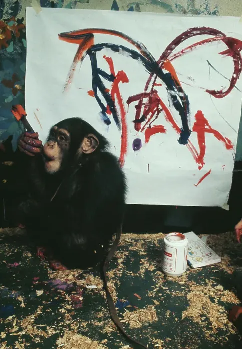 Framed Print : Charlie, The Chimpanzee Artist Framed Print : Charlie, The Chimpanzee Artist