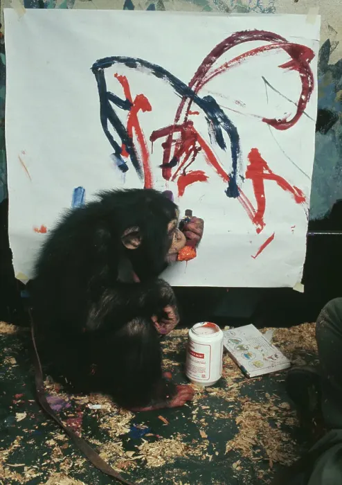 Framed Print : Charlie, The Chimpanzee Artist Framed Print : Charlie, The Chimpanzee Artist
