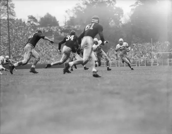 Framed Print : Charlie Trippi Playing College Football Framed Print : Charlie Trippi Playing College Football