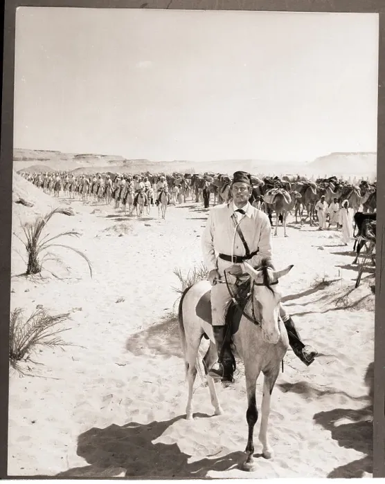 Framed Print : Charlton Heston Leading a Camel Charge Framed Print : Charlton Heston Leading a Camel Charge