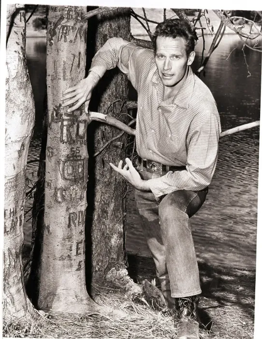 Framed Print : Charlton Heston Pointing Out Vandalism Framed Print : Charlton Heston Pointing Out Vandalism