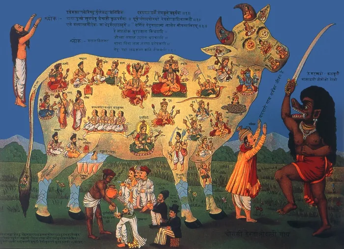 Framed Print : Chaurasi Devataon-wali Gai Framed Print : Chaurasi Devataon-wali Gai