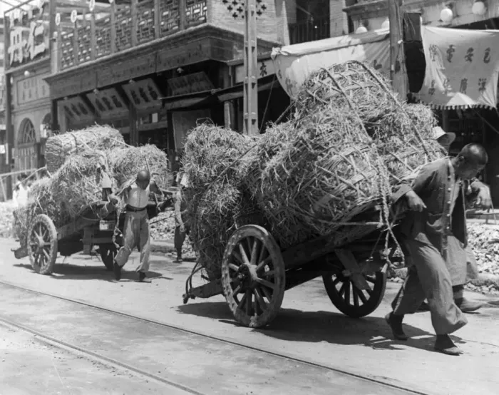 Framed Print : Cheap Labour