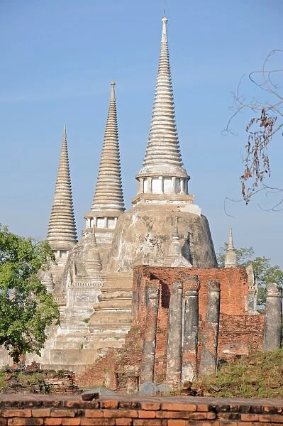 Chedi Stupas of Ayutthaya Historical Park