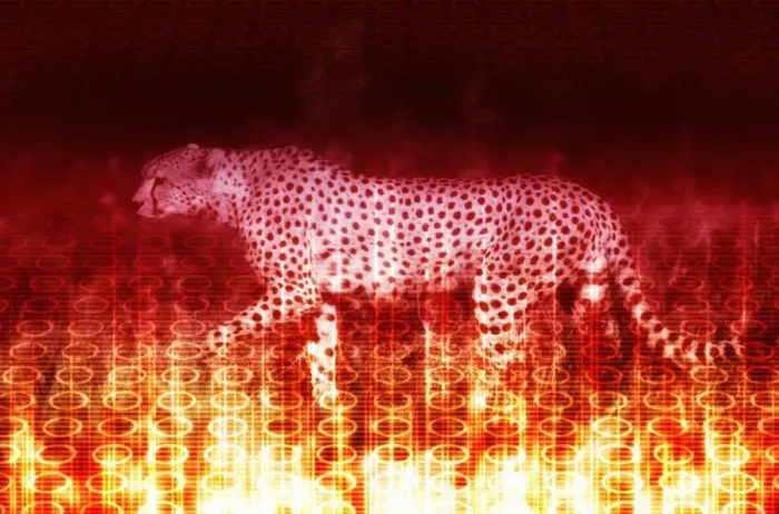 Framed Print : Cheetah Framed Print : Cheetah