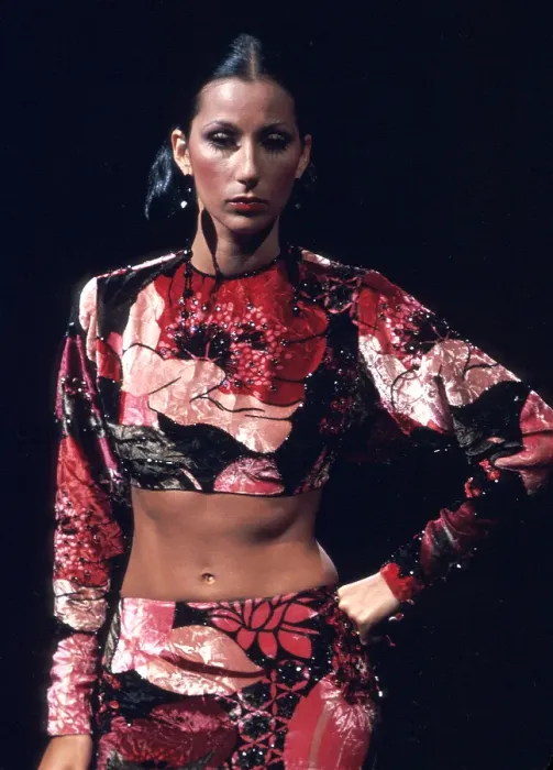 Framed Print : Cher Performing Framed Print : Cher Performing