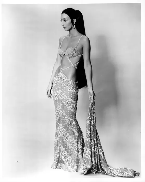 Framed Print : Cher Portrait Framed Print : Cher Portrait