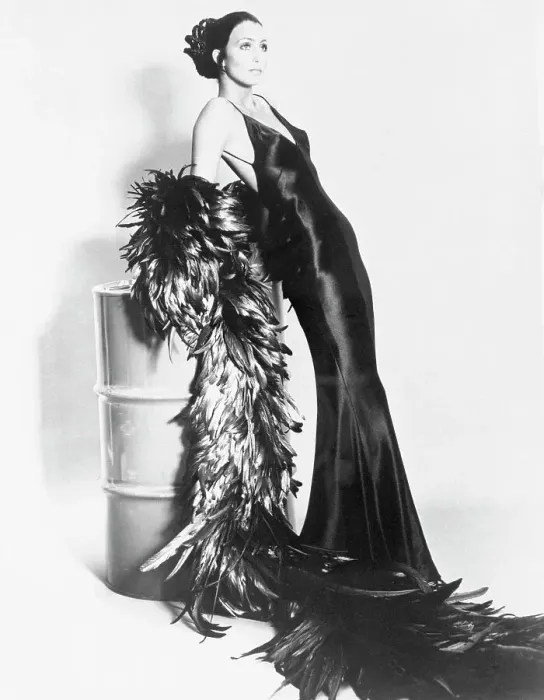 Framed Print : Cher Posing in Evening Gown Framed Print : Cher Posing in Evening Gown