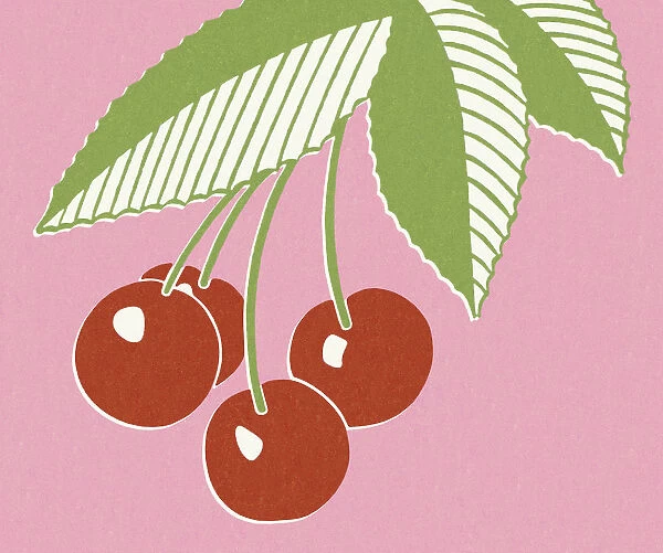 Cherries. http: /  / csaimages.com / images / istockprofile / csa_vector_dsp.jpg