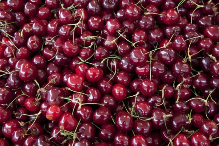 Framed Print : Cherries, background Framed Print : Cherries, background