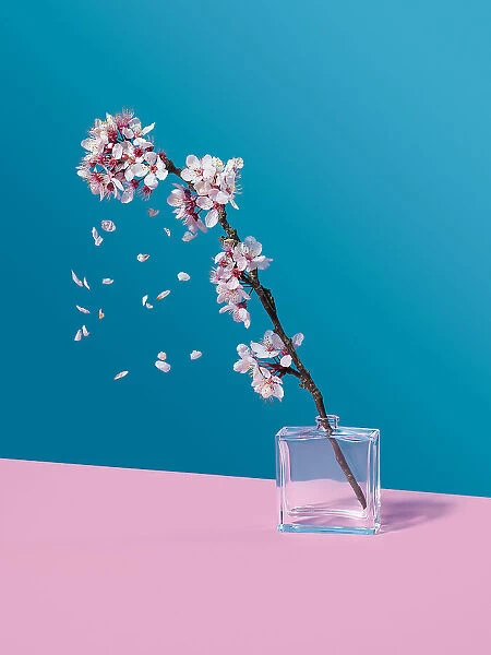 Cherry Blossom and glass jar