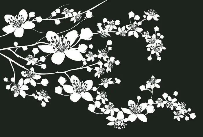 Framed Print : Cherry Blossoms, 165599233 Framed Print : Cherry Blossoms, 165599233