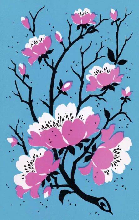 Framed Print : Cherry Blossoms Framed Print : Cherry Blossoms