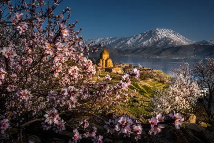 Framed Print : Cherry blossoms at the Armanian church Framed Print : Cherry blossoms at the Armanian church