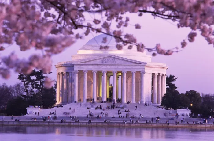 Framed Print : Cherry Blossoms by Jefferson Memorial Framed Print : Cherry Blossoms by Jefferson Memorial