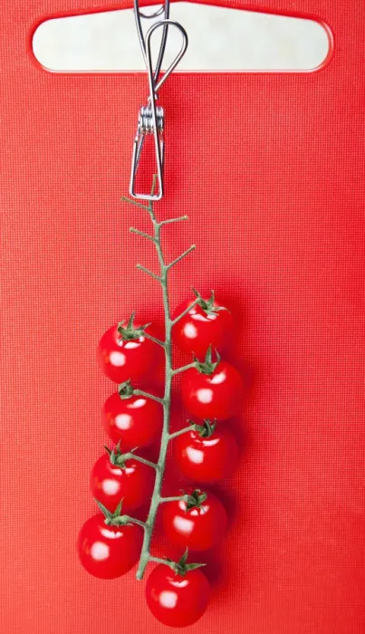 Framed Print : Cherry tomatoes Framed Print : Cherry tomatoes