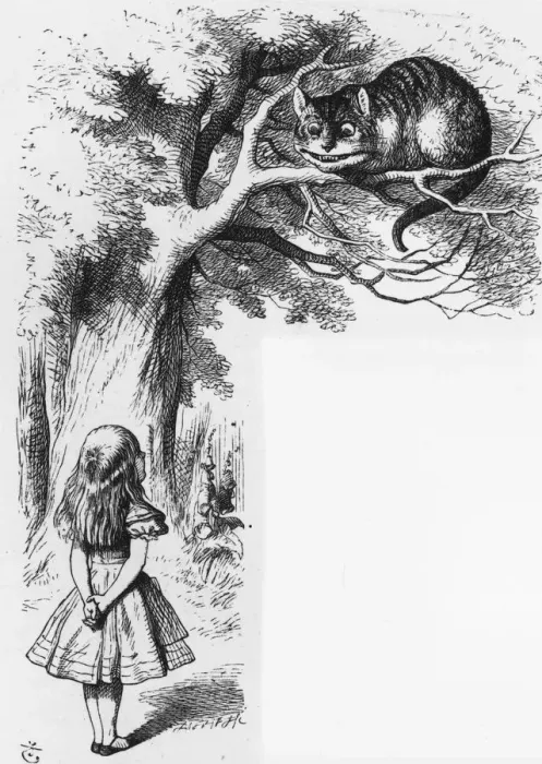 Framed Print : Cheshire Cat Framed Print : Cheshire Cat