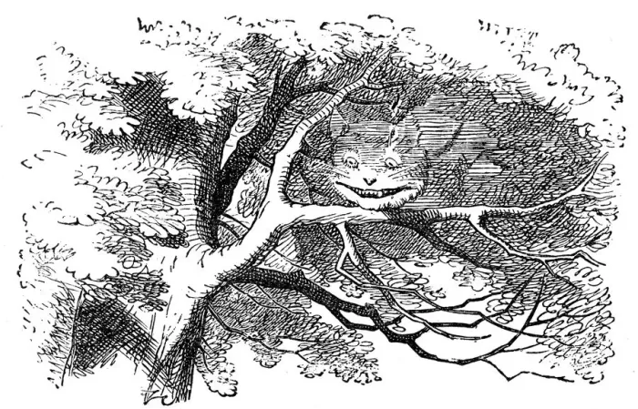 Framed Print : Cheshire Cat - Alice in Wonderland 1897 Framed Print : Cheshire Cat - Alice in Wonderland 1897